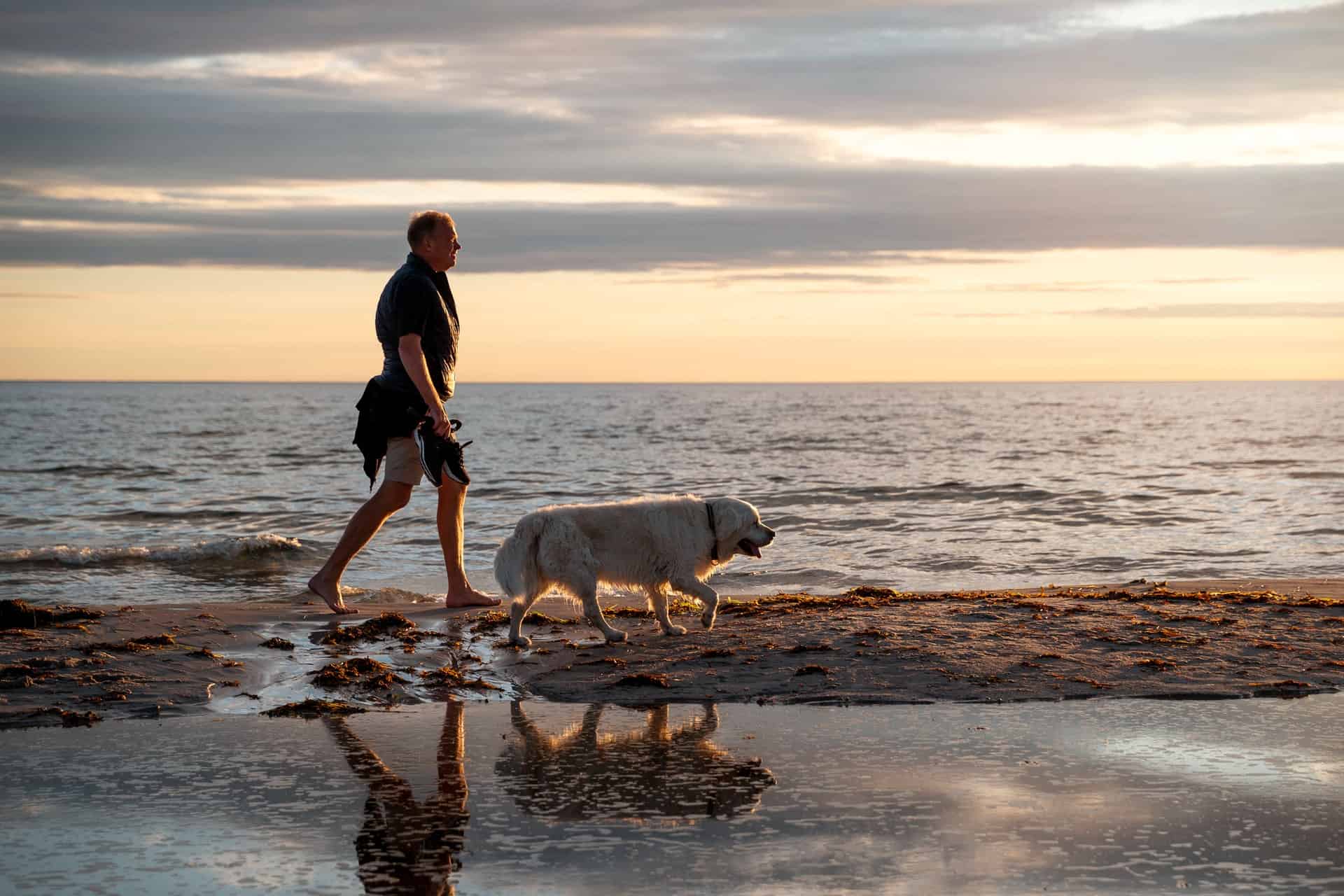 Side View Man With Cute Dog Beach